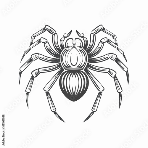 Spider Tarantula Vector. Tarantula logo illustration design vector on white background.