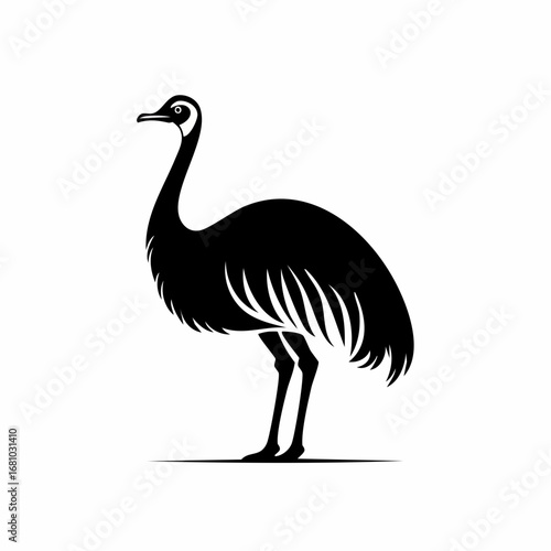 Emu Ostrich image vector. Black and white Emu Ostrich image on white background.