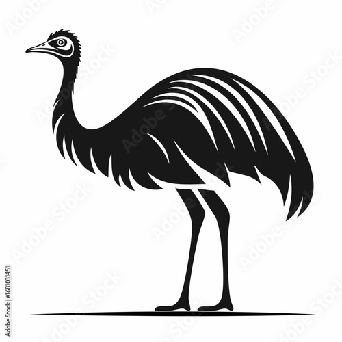 Emu Ostrich image vector. Black and white Emu Ostrich image on white background.
