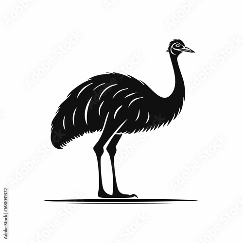 Emu Ostrich image vector. Black and white Emu Ostrich image on white background.