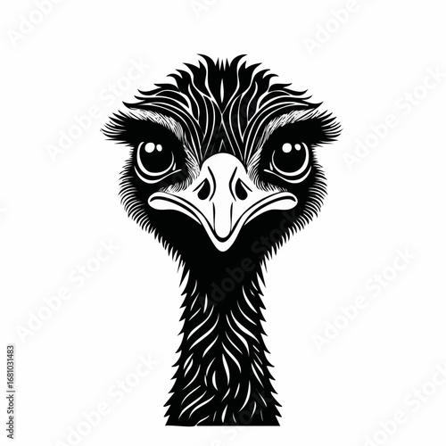 Emu Ostrich image vector. Black and white Emu Ostrich image on white background.