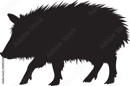 Javelina Silhouette on Transparent Background
