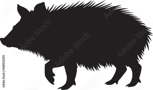 Javelina Silhouette on Transparent Background