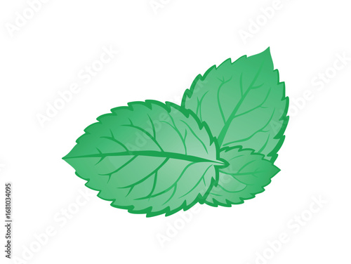 Fresh green mint leaves on transparent background
