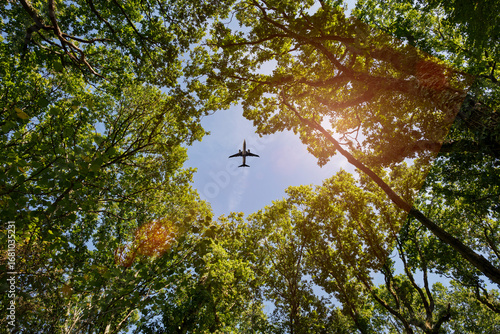 Airplane flying overhead viewed through green tree canopy in sunlight