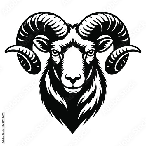 head of ram