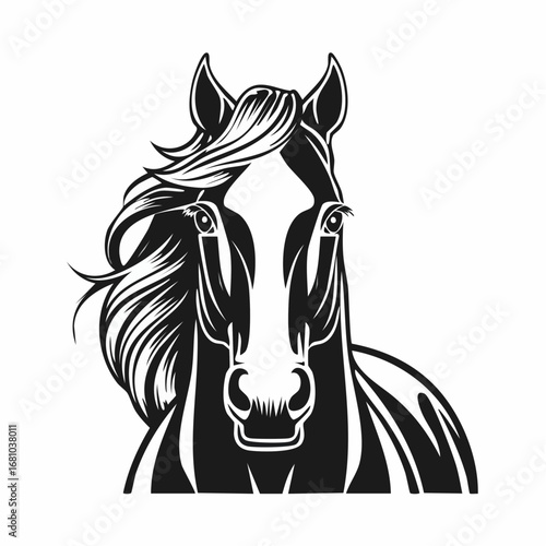 Equestrian Vector Images. Front View Equestrian Vector Images on white background.