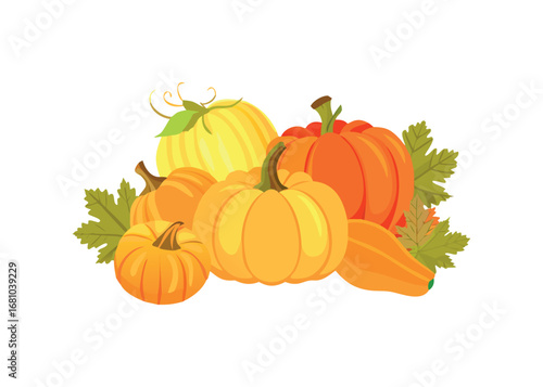 Autumn harvest of assorted pumpkins and squash with leaves on transparent background