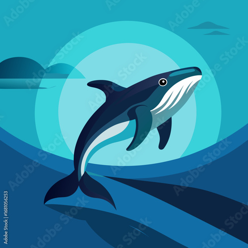 vector illustration of a dolphin