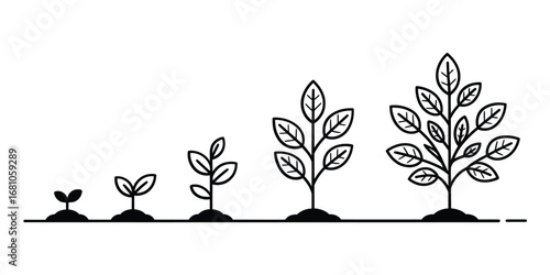 Stages of plant growth from seedling to mature tree in a linear progression
