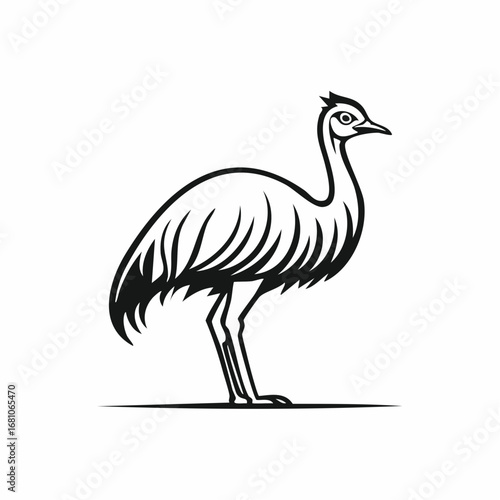 Emu bird simple black line art image, Black bold outline vector icon, Bird vector illustration