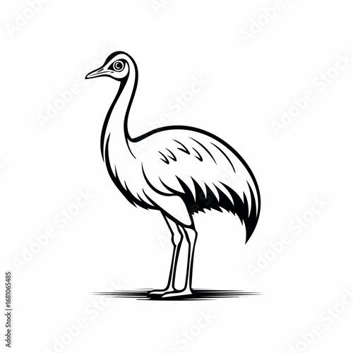 Emu bird simple black line art image, Black bold outline vector icon, Bird vector illustration