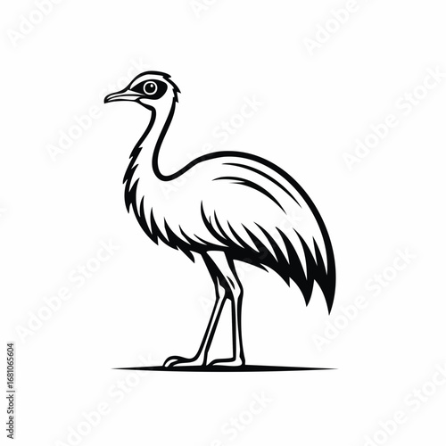 Emu bird simple black line art image, Black bold outline vector icon, Bird vector illustration