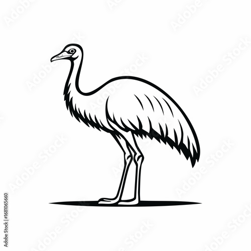 Emu bird simple black line art image, Black bold outline vector icon, Bird vector illustration