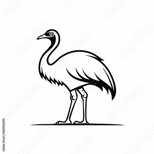 Emu bird simple black line art image, Black bold outline vector icon, Bird vector illustration
