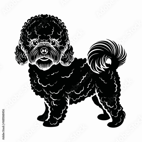 bichon frise dog black silhouette vector with white background