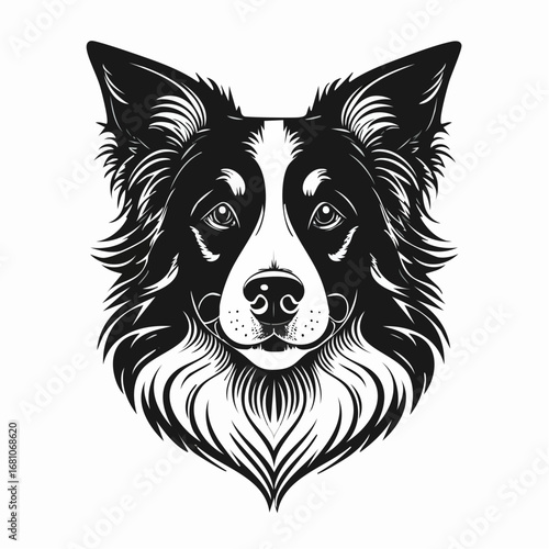 border collie dog black silhouette vector with white background