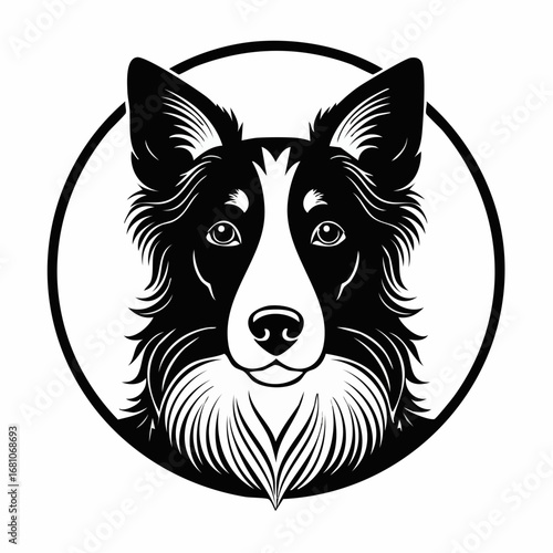 border collie dog black silhouette vector with white background