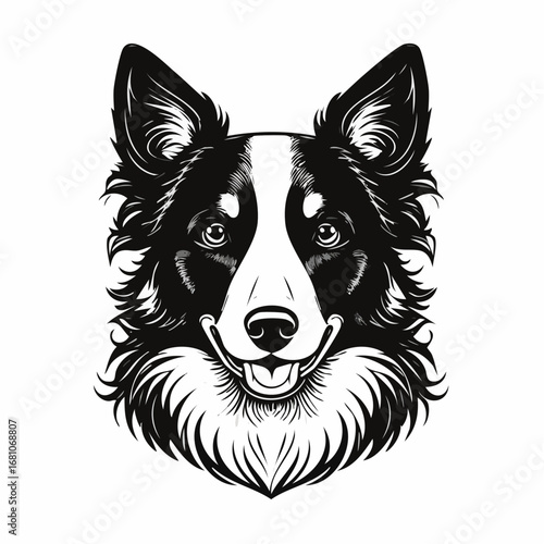 border collie dog black silhouette vector with white background