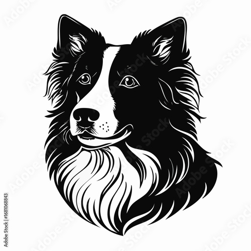 border collie dog black silhouette vector with white background