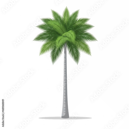Tropical Palm Tree: The solitary palm tree stands tall with vibrant green fronds, creating a serene oasis in the hot summer day. The image gives off summer feeling.