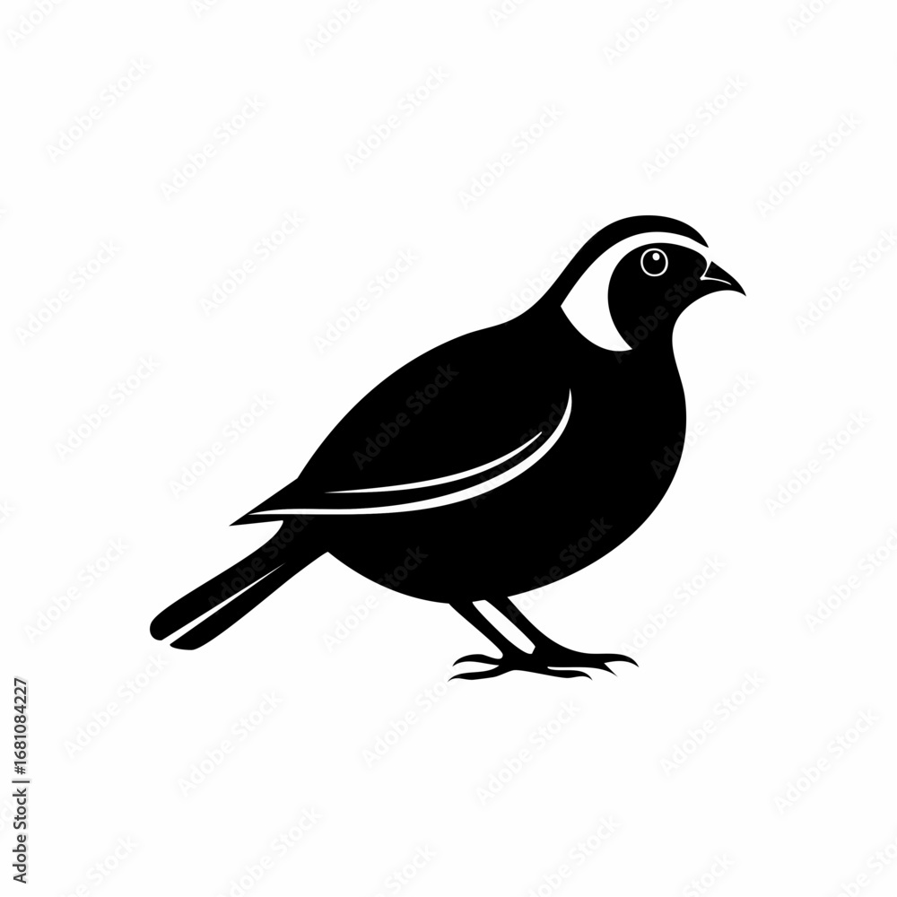 Fototapeta premium quail bird black silhouette vector, Simple silhouette Design vector icon with white background. Wild bird