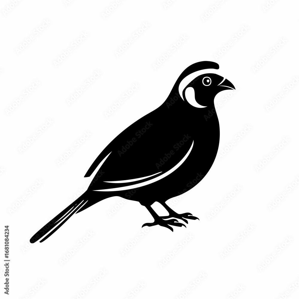 Fototapeta premium quail bird black silhouette vector, Simple silhouette Design vector icon with white background. Wild bird