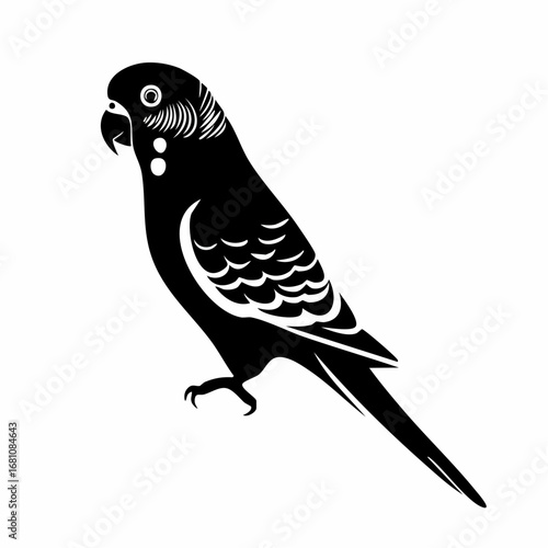 Fototapeta parakeet bird black silhouette vector, Simple silhouette Design vector icon with white background