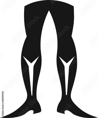 Shins silhouette icon vector on white background