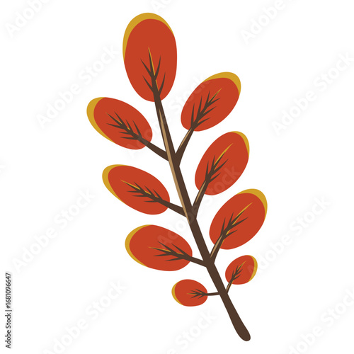 Robinia tree leaf with 9 oval red leaflets. Isolated vector illustration of pseudoacacia tree leaves