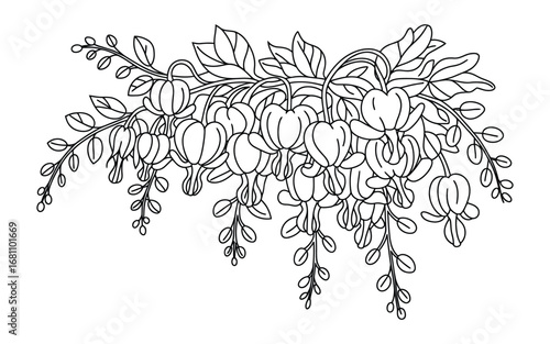 Delicate black and white sketch of cascading bleeding heart flowers