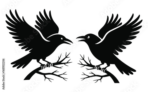 Two black ravens perched on branches facing each other