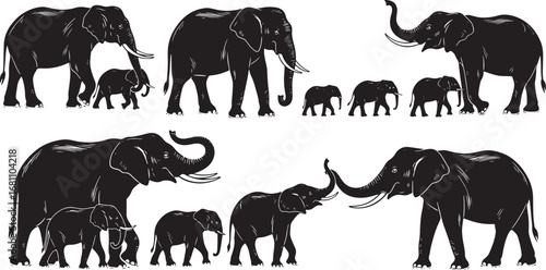 Vector art of collection of elephants and baby elephants in various poses