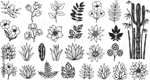 Vector art of handdrawn botanical elements and floral illustrations for design