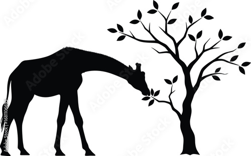 Giraffe eating leaves silhouette vector illustration art