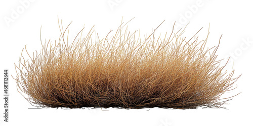 Dried Tumbleweed. Symbol Of Desert, Arid Landscapes, And Nature'S Resilience Isolated On Transparent Background