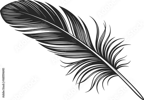 Detailed black and white feather illustration, artistic bird feather drawing, vintage style feather design, nature-inspired, elegant, light
