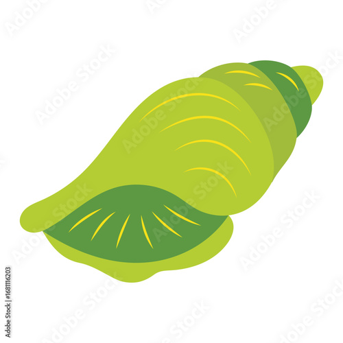cartoon seashell, flat style