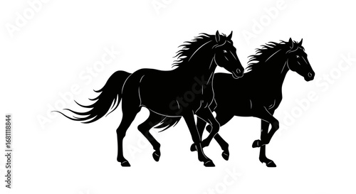 Two powerful black horses running side by side with flowing manes and tails against a white background