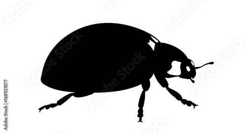 Detailed silhouette of a ladybug insect with visible legs and antennae on a white background