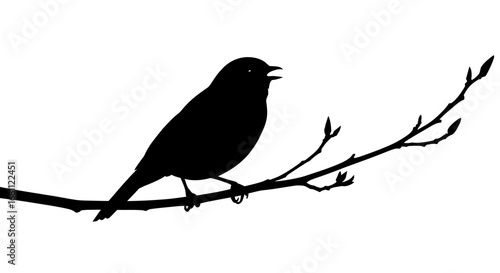 Silhouette of a small songbird perched on a bare tree branch singing with its beak open