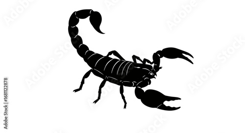 Detailed black silhouette of a scorpion with raised tail and claws against a clean white background