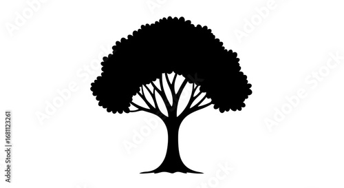 Silhouette of a deciduous tree with a full leafy canopy and visible branches against a white background
