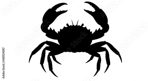 Silhouette of a crab with raised claws against a stark white background symbolizing the ocean and marine life