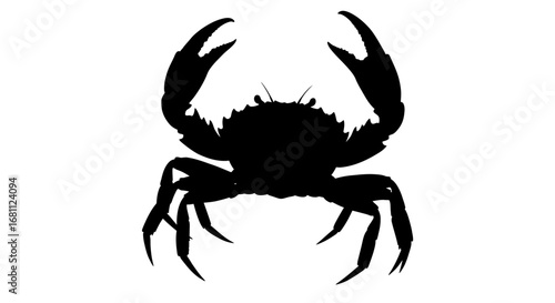 Silhouette of a crab with raised claws against a stark white background emphasizing its form