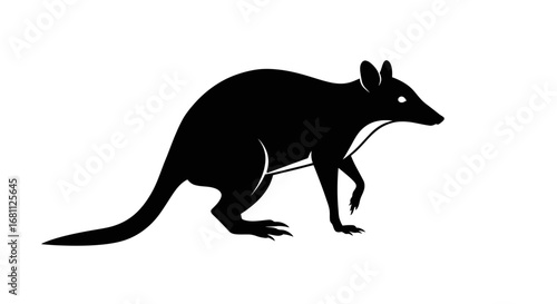 Stylized silhouette of a kangaroo standing on a white background with detailed linework