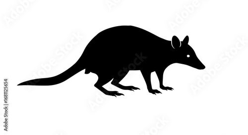 Silhouette of a black bilby marsupial animal with long ears and a pointed snout isolated on white