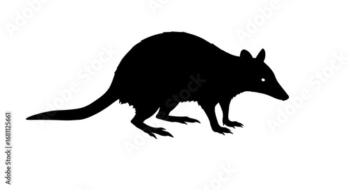 Silhouette of a bilby a marsupial native to australia depicted in black against a white background