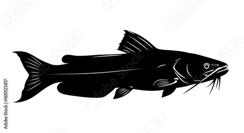 Detailed black silhouette of a catfish with prominent barbels and fins isolated on a white background