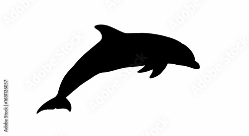 Silhouette of a playful dolphin leaping out of the water against a clean white background
